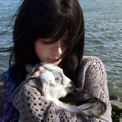 尼克·弗瑞:神盾局特工